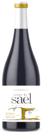 Solar de Sael Mencia Gran Reserva '07 (€ 27,50)