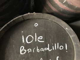 Barbadillo Quãdis crianza (€ 16,95)