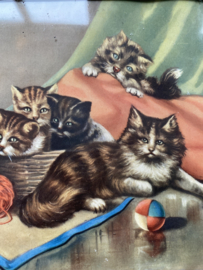 Ouderwets schilderijtje met katjes