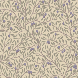 Olivträd 5704 | Orangeri | Boråstapeter