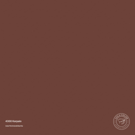 Uula Farfoil | 4300 Karpalo