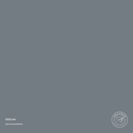 Uula Farfoil | 1020 Uni