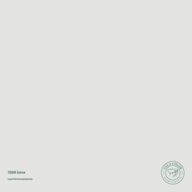 Uula Farfoil | 1509 Usva