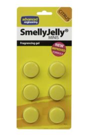 Advanced mini SmellyJelly Citrus