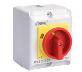 Werkschakelaar 20A 4 polig , IP65 + 2 x kabelwartel