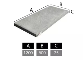 Lichtgewicht beton plaat 1200 x 600