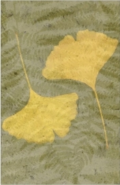 Poster Gingko