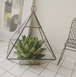 Terrarium Pyramid