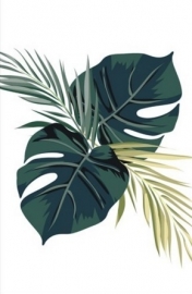 Poster Monstera