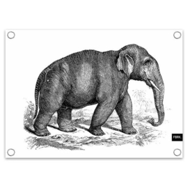 Tuinposter Olifant