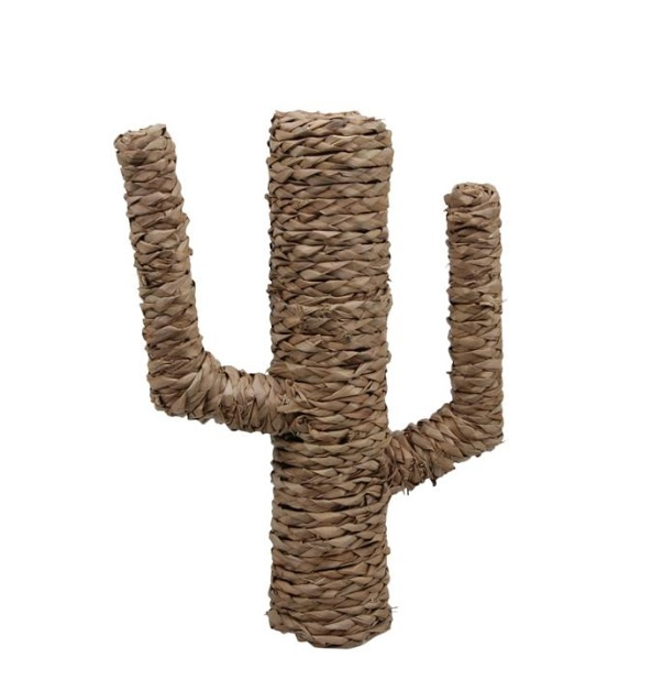 Cactus van zeegras, M