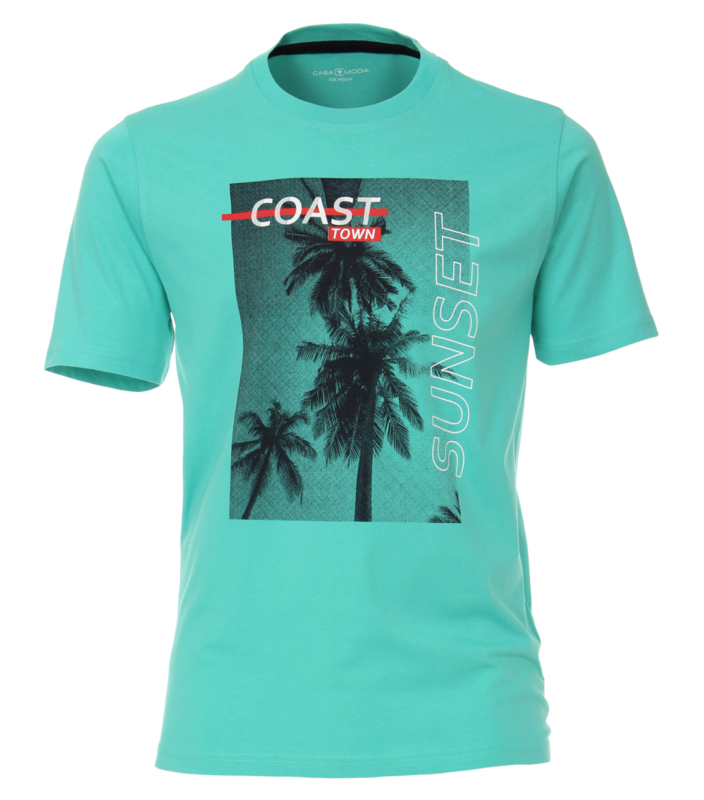 Grote maten t-shirts heren koop je bij Bigmensfashion