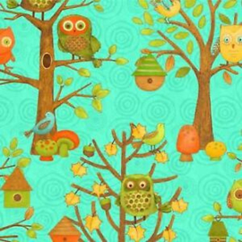 Owl and Bird Scenic