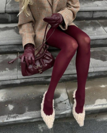 50 denier panty in de kleur burgundy/ bordeaux