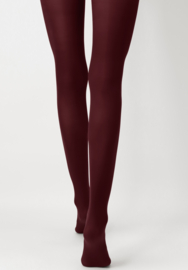 50 denier panty in de kleur burgundy/ bordeaux