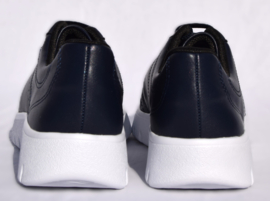 Sports OnBoard blauw