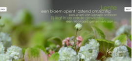 Een bloem opent