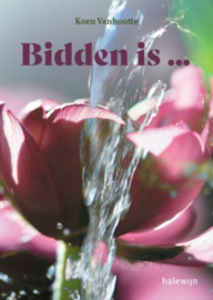 Bidden is...