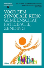 Voor een synodale kerk