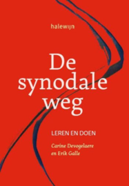 De synodale weg