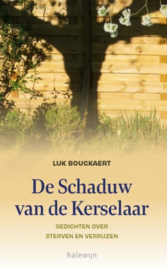 De schaduw van de kerselaar