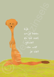 Kijk om je heen...