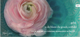 Geluk is de bloem