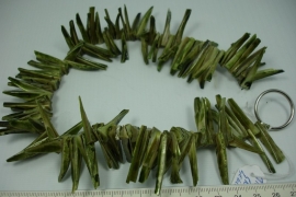 [ 10095 ] Trocca schelp Groen, Sticks, 35 cm.