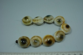 [5556 ] Cats Eye 23 x 20 x 16 mm.   9 stuks