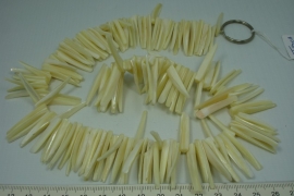 [ 10096 ] Trocca schelp Sticks, 40 cm.