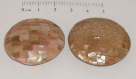 (0131) Brown-lip kraal plat. 35 x 11 mm.