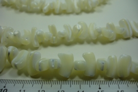 [ 10017 ] Troca Straigt Chips  5 x 13 mm. White, per streng