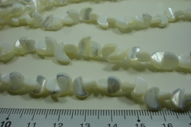 [ 10016 ] Troca Moon Shape 4.5 x 8 x 3 mm. White, per streng