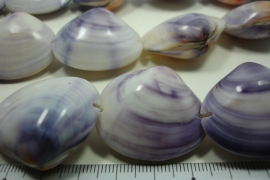 [ 10066 ] Clam Purple 32 x 28 x 14 mm. per streng