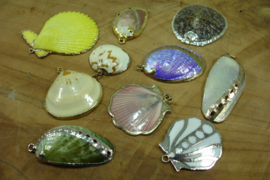 +[ 7064 ] Echte SCHELPJES hangertjes, plat, assorti per 10 stuks