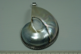 [5652 ] .. Schelp hanger,  +/- 70 x 48 mm.