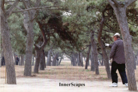 Schuurman, Marike: InnerScapes