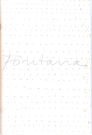 Catalogus StedelijkMuseum Amsterdam nr. 412: Fontana