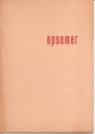 Catalogus Stedelijk Museum 054: Opsomer.