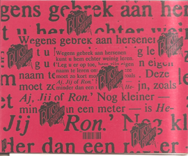 Bliksemberichten no. 7 (Ron Boonstra)