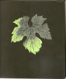 Sine: Billedbog