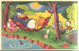 Donald Duck in hangmat