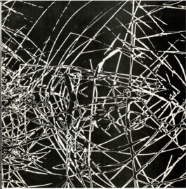 Noordhoek, Wim: Fototentoonstelling