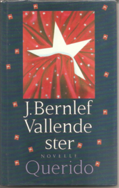 Bernlef, J.: Vallende ster
