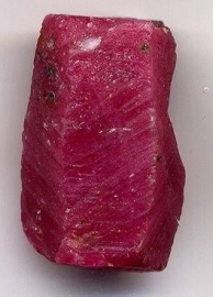 Robijn