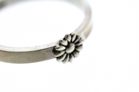 Ring Flora