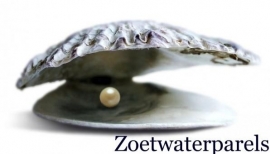 Zoetwaterparels