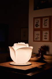 Rose Table Lamp in several colours