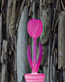 Tulip XL - Decoratie / Lamp