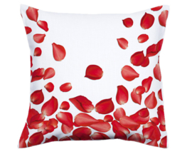 Cushion with Prints